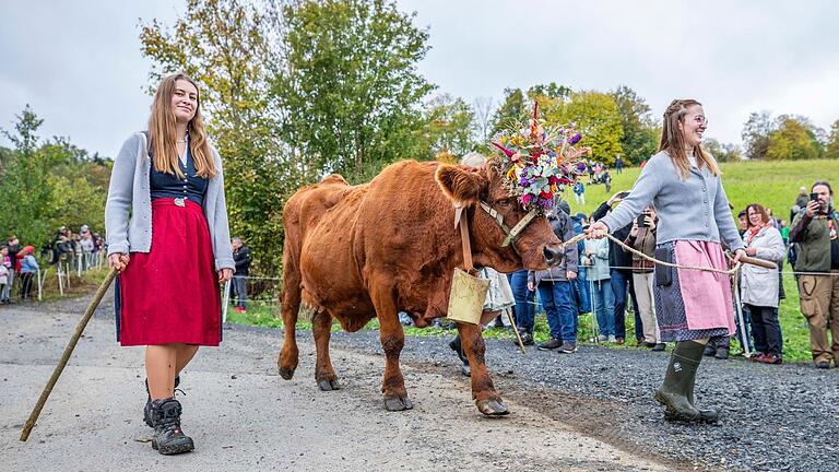 Weideabtrieb in Ginolfs: Über 1500 Tiere bahnen sich ihren Weg von den Rhönwiesen ins Tal nach Ginolfs. Fotos vorab, es folgen weitere aus dem Büro.... Weideabtrieb in Ginolfs: Über 1500 Tiere bahnen sich ihren Weg von den Rhönwiesen ins Tal nach Ginolfs. Fotos vorab, es folgen weitere aus dem Büro....