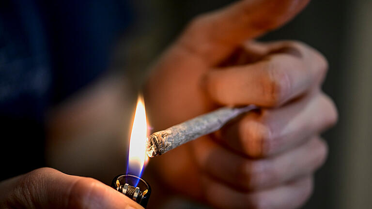 Cannabis.jpeg - Die Cannabis-Legalisierung gilt. Für die Gründung eines Cannabis Social Clubs gibt es strenge Auflagen. Cannabis.jpeg - Die Cannabis-Legalisierung gilt. Für die Gründung eines Cannabis Social Clubs gibt es strenge Auflagen.