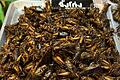 Insekten als Nahrungsmittel in Thailand       -  Insekten wie Würmer und Käfer gehören in Thailand bereits zum Straßenbild. (Archivbild)