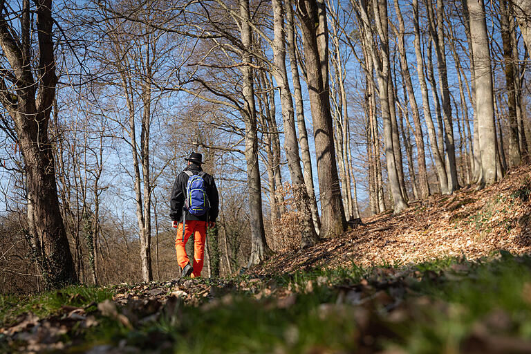 Unterwegs auf dem rund 4,5 Kilometer langen Pfad der Achtsamkeit in Stadtprozelten (Lkr. Miltenberg). Ein Ausflug in den Wald kann wie ein Kurzurlaub wirken. Wer sich auf den Wald einlässt, nimmt eine Auszeit, erholt sich – und tut somit etwas für seine Gesundheit. Unterwegs auf dem rund 4,5 Kilometer langen Pfad der Achtsamkeit in Stadtprozelten (Lkr. Miltenberg). Ein Ausflug in den Wald kann wie ein Kurzurlaub wirken. Wer sich auf den Wald einlässt, nimmt eine Auszeit, erholt sich – und tut somit etwas für seine Gesundheit.