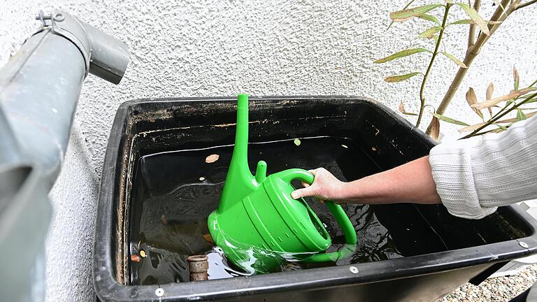 Ein Mittel gegen die Trockenheit im Garten: Gießen, so lange die Regentonnen etwas hergeben.