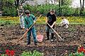 Mit dem Wettbewerb &bdquo;Der Schulgarten summt!&ldquo; des Kreisverbandes für Gartenbau und Landespflege sollen die Schulgärten im Landkreis wieder belebt werden.