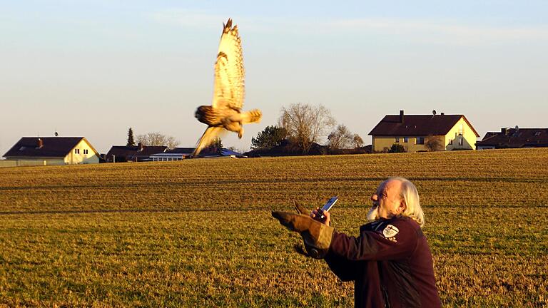 Mit kraftvollen Flügelschlägen fliegt die Sumpfohreule davon. Falkner Dellert freut sich über die Genesung des seltenen Tiers.&nbsp;&nbsp;