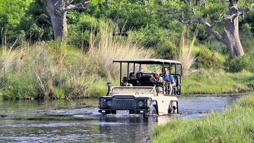 Safari: Ist es ein Fluss oder eine Straße?