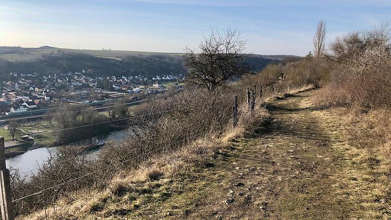 Der Höhenweg zwischen Kleinochsenfurt und Sommerhausen ist wellig und teilweise etwas uneben. Der Ausblick entschädigt aber für die Anstrengung. Der Höhenweg zwischen Kleinochsenfurt und Sommerhausen ist wellig und teilweise etwas uneben. Der Ausblick entschädigt aber für die Anstrengung.