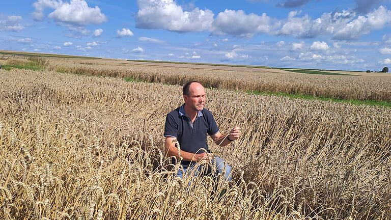Wenn Landwirt Wolfgang Wirsing seinen noch zu erntenden Weizen betrachtet, bekommt er schlechte Laune. Die Körner taugen nur noch für Futterzwecke. Wenn Landwirt Wolfgang Wirsing seinen noch zu erntenden Weizen betrachtet, bekommt er schlechte Laune. Die Körner taugen nur noch für Futterzwecke.