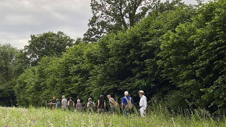 17 Mitglieder des LBV-Kreis-und Ortsverbandes Kitzingen nahmen an der Vogelstimmenwanderung teil. 17 Mitglieder des LBV-Kreis-und Ortsverbandes Kitzingen nahmen an der Vogelstimmenwanderung teil.