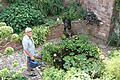 Reimar Glückler gießt seinen Garten in der Frobeniusstraße in Hammelburg. Viel mehr Arbeit hat er mit seinem Garten aber nicht.       -  Reimar Glückler gießt seinen Garten in der Frobeniusstraße in Hammelburg. Viel mehr Arbeit hat er mit seinem Garten aber nicht.