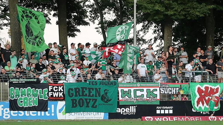 Stimmung garantiert: Die Fankurve des FC 05 Schweinfurt, der derzeit Erster in der Regionalliga Bayern ist. Bei einem Aufstieg in die Dritte Liga müsste die Stadt in die Infrastruktur des Stadions investieren. Stimmung garantiert: Die Fankurve des FC 05 Schweinfurt, der derzeit Erster in der Regionalliga Bayern ist. Bei einem Aufstieg in die Dritte Liga müsste die Stadt in die Infrastruktur des Stadions investieren.