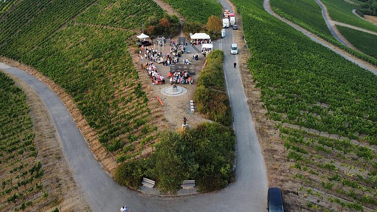 Weinberg aus der Vogelperspektive.