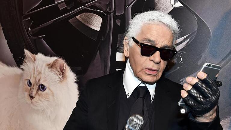 Ästhet und leidenschaftlicher Sammler: Karl Lagerfeld. Foto: Jens Kalaene/dpa-Zentralbild/dpa       -  Karl Lagerfeld und seine geliebte Katze Choupette, hier im Jahr 2015.