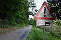 Die Straße zwischen Kleinwernfeld und Massenbuch soll kostengünstig hergerichtet werden, beschloss der Stadtrat.