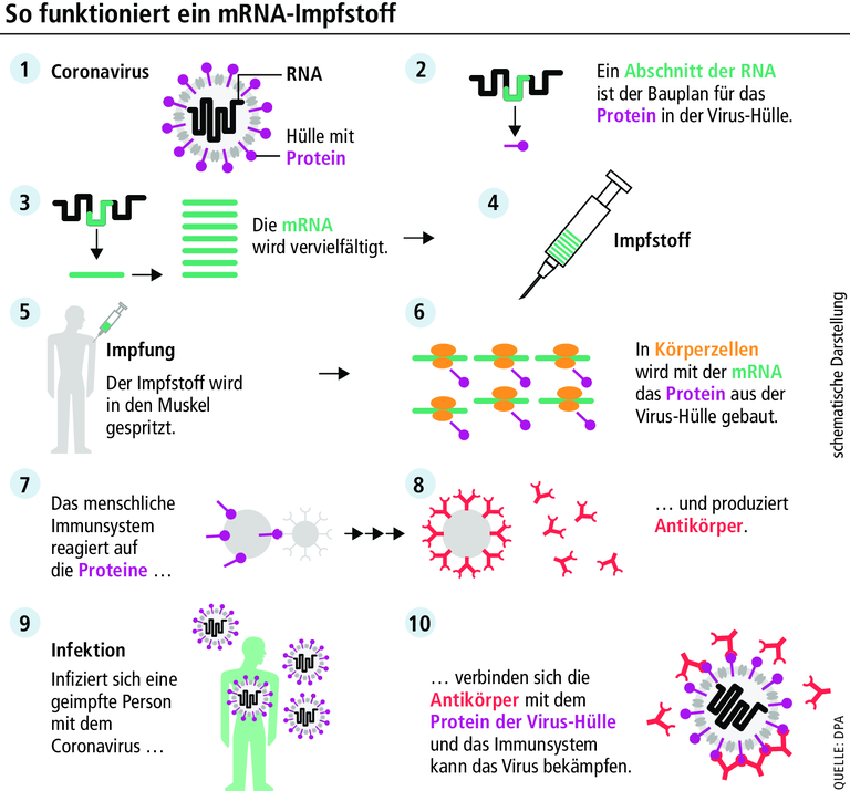 Wie funktioniert der mRNA-Impfstoff und was passiert im Körper?