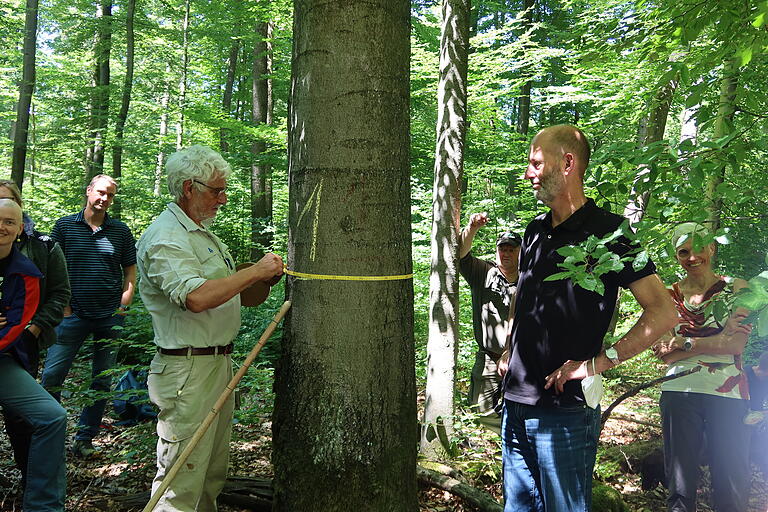 Praktisch ging es zu bei der Waldfahrt des Stadtrats.