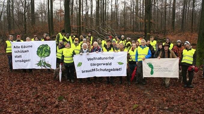 Mitglieder des Vereins Nationalpark Steigerwald haben im Staatswald bei Fabrikschleichach eine Fläche von einem Hektar abgegrenzt und die darin liegenden Stümpfe jüngst gefällter Bäume gezählt.