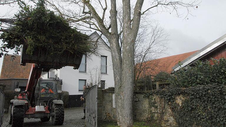 Die Gemeindearbeiter haben kürzlich Bäume und Hecken am Eingangsbereich des Willanzheimer Friedhopfs entfernt. Jetzt kann die Friedhofsmauer (rechts im Bild) in dem Abschnitt bis zum Kreuz abgebrochen und neu aufgebaut werden. Die Gemeindearbeiter haben kürzlich Bäume und Hecken am Eingangsbereich des Willanzheimer Friedhopfs entfernt. Jetzt kann die Friedhofsmauer (rechts im Bild) in dem Abschnitt bis zum Kreuz abgebrochen und neu aufgebaut werden.