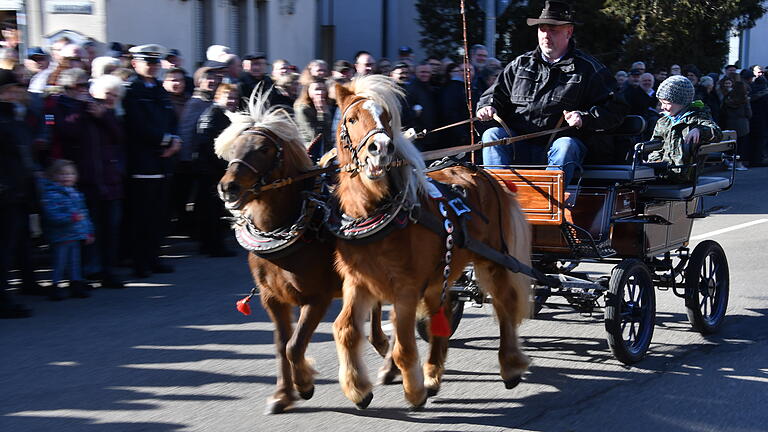 Klein aber oho: Um Anschluss an die Großen zu halten, legten die beiden Ponys beim Festzug einen kurzen Zwischen-Galopp ein. Klein aber oho: Um Anschluss an die Großen zu halten, legten die beiden Ponys beim Festzug einen kurzen Zwischen-Galopp ein.