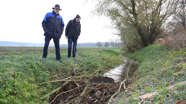 Die Anwohner Alfons Zehner (links) und Walter Zinn betrachten einen Biberdamm, der erst vor kurzem entstanden ist.