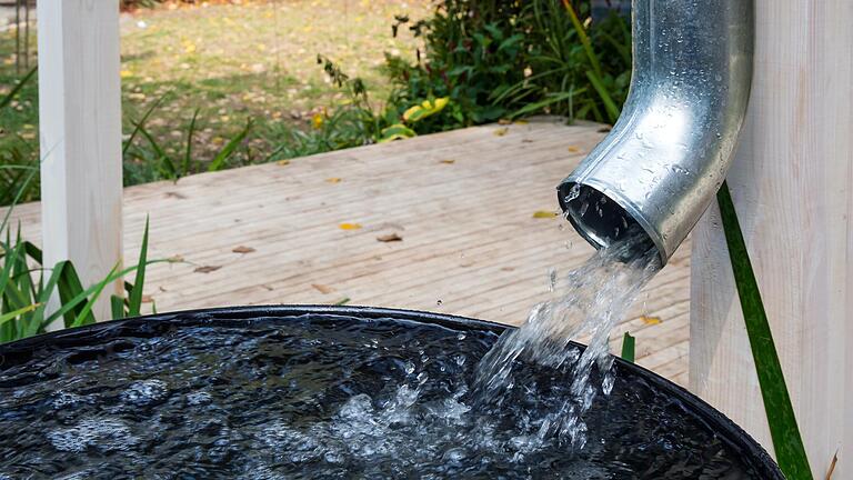 Zum Gießen: Dafür lässt sich das Wasser nutzen, das sich in der Regentonne sammelt.&nbsp;