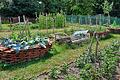 Neben theoretischen Kenntnissen wird auch viel praktisches Fachwissen in der Gartenarbeit vermittelt.