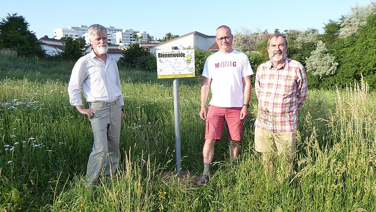 Von links: Burkhard Biel, Martin Imhof und Walter Feineis vom Bund Naturschutz bei einer Ortsbegehung am geplanten Parkplatz Ecke Waldstraße/Bayernstraße.