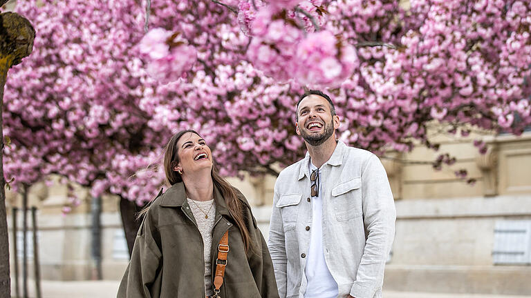 Einige Menschen tummeln sich am Sonntag (13.04.25) im Hofgarten der Residenz in Würzburg. Die Kirschblüte lockt jedes Jahr im April viele Besucher in die Gartenanlage.