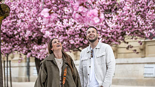 Einige Menschen tummeln sich am Sonntag (13.04.25) im Hofgarten der Residenz in Würzburg. Die Kirschblüte lockt jedes Jahr im April viele Besucher in die Gartenanlage.