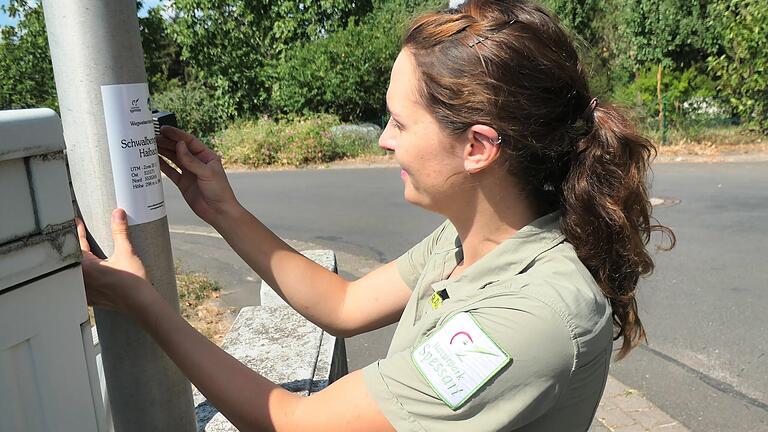 Victoria Schuler,&nbsp;Rangerin im Naturpark Spessart,&nbsp; befestigt eine der neuen Markierungen mit UTM-Koordinaten an einer Straßenlaterne.