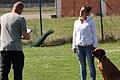 Leistungsrichter Michael Nachtigall bei der Bewertung mit Hanna Simmling und ihrem Hund Letty.