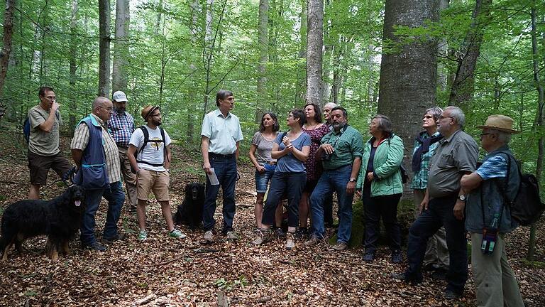 Mit Bärbel Höhn über Stock und Stein       -  (gch)   Bei ihrer Sommertour durch Bayern hat die Dachauer Bundestagsabgeordnete Beate Walter-Rosenheimer einen Zwischenstopp im Steigerwald gemacht und gleich mal Bärbel Höhn (Vierte von rechts), die Vorsitzende des Umweltausschusses im Deutschen Bundestag, und Christian Magerl (Fünfter von rechts), den Vorsitzenden des Umweltausschusses im Bayerischen Landtag, eingeladen. Geführt wurde die Wanderung, an der gut ein dutzend Personen teilgenommen hatten, wie immer von Georg Sperber. Die Botschaft von Walter-Rosenheimer lässt sich in zwei Worten zusammen fassen: Nationalpark Steigerwald. Den befürwortet auch Bärbel Höhn, die den Buchenbestand des Waldes lobte. In der Eifel, sagte sie, würde es einen ähnlichen Park seiner Art geben, &bdquo;und der wird von der Bevölkerung sehr gut angenommen, außerdem bietet er eine großes wirtschaftliches Potenzial für die Region&ldquo;. Wer skeptisch sei, was einen Nationalpark Steigerwald anginge, möge sich bitte andere Parks dieser Art anschauen. Christian Magerl sprach über den &bdquo;vergeblichen Kampf einer Machbarkeitsstudie&ldquo;, und ein Nationalpark würde Bayern gut zu Gesichte stehen. Als im Januar der jüngste Nationalpark &bdquo;Schwarzwald&ldquo; ausgewiesen worden war, habe die CDU in Baden-Württemberg ihn &bdquo;vehement bekämpft&ldquo;. Nicht mal ein halbes Jahr später, so Magerl in Richtung CSU, &bdquo;hat die CDU gesagt, wenn sie wieder an die Macht käme, würde sie diesen Nationalpark erhalten wollen&ldquo;. Im Verlauf der Wanderung durch das Waldschutzgebiet &bdquo;Brunnstube&ldquo; und durch den &bdquo;Hohen Buchenen Wald&ldquo; gab es eine Einkehr mit weiteren Lokalpolitikern.