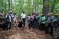 Mit Bärbel Höhn über Stock und Stein       -  (gch)   Bei ihrer Sommertour durch Bayern hat die Dachauer Bundestagsabgeordnete Beate Walter-Rosenheimer einen Zwischenstopp im Steigerwald gemacht und gleich mal Bärbel Höhn (Vierte von rechts), die Vorsitzende des Umweltausschusses im Deutschen Bundestag, und Christian Magerl (Fünfter von rechts), den Vorsitzenden des Umweltausschusses im Bayerischen Landtag, eingeladen. Geführt wurde die Wanderung, an der gut ein dutzend Personen teilgenommen hatten, wie immer von Georg Sperber. Die Botschaft von Walter-Rosenheimer lässt sich in zwei Worten zusammen fassen: Nationalpark Steigerwald. Den befürwortet auch Bärbel Höhn, die den Buchenbestand des Waldes lobte. In der Eifel, sagte sie, würde es einen ähnlichen Park seiner Art geben, &bdquo;und der wird von der Bevölkerung sehr gut angenommen, außerdem bietet er eine großes wirtschaftliches Potenzial für die Region&ldquo;. Wer skeptisch sei, was einen Nationalpark Steigerwald anginge, möge sich bitte andere Parks dieser Art anschauen. Christian Magerl sprach über den &bdquo;vergeblichen Kampf einer Machbarkeitsstudie&ldquo;, und ein Nationalpark würde Bayern gut zu Gesichte stehen. Als im Januar der jüngste Nationalpark &bdquo;Schwarzwald&ldquo; ausgewiesen worden war, habe die CDU in Baden-Württemberg ihn &bdquo;vehement bekämpft&ldquo;. Nicht mal ein halbes Jahr später, so Magerl in Richtung CSU, &bdquo;hat die CDU gesagt, wenn sie wieder an die Macht käme, würde sie diesen Nationalpark erhalten wollen&ldquo;. Im Verlauf der Wanderung durch das Waldschutzgebiet &bdquo;Brunnstube&ldquo; und durch den &bdquo;Hohen Buchenen Wald&ldquo; gab es eine Einkehr mit weiteren Lokalpolitikern.