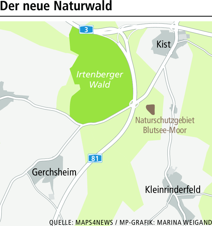 Warum ein Wald bei Würzburg jetzt Kanibers bayerischer 'Naturwald' ist