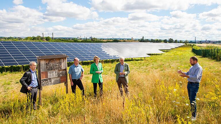 In der Blumenwiese und neben dem Bienenhotel, die Photovoltaikanlage im Rücken (von rechts): Carsten Eckardt (N-Ergie) erklärt&nbsp;Richard Mergner (Landesvorsitzender BUND),&nbsp;Anja Weisgerber (CSU), Norbert Schäffer (Vorsitzender des Landeskindes für Vogelschutz in Bayern) und&nbsp;Olaf Brandt (Bundesvorsitzender BUND) die Besonderheiten der Anlage in Oberndorf.