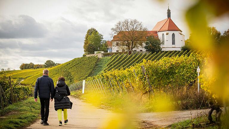 Eingerahmt von Weinbergen: Die Vogelsburg bei Volkach zieht nicht erst seit der Generalsanierung 2013 die Menschen in ihren Bann. Eingerahmt von Weinbergen: Die Vogelsburg bei Volkach zieht nicht erst seit der Generalsanierung 2013 die Menschen in ihren Bann.