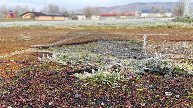 Sportzentrum Hammelburg       -  Die Anlagen im Südsegment des Sportzentrums in Hammelburg sind in einem schlechten Zustand.