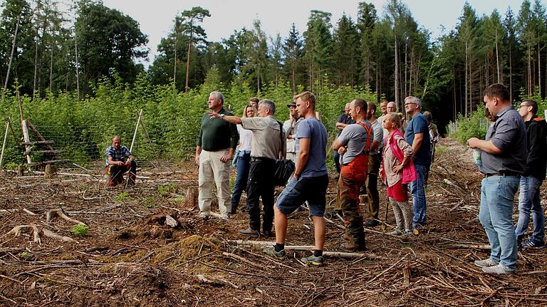 Ein Windwurf sorgte für diese Kahlfläche im Vordergrund; im Hintergrund die Naturverjüngung und der Wald. Ein Windwurf sorgte für diese Kahlfläche im Vordergrund; im Hintergrund die Naturverjüngung und der Wald.