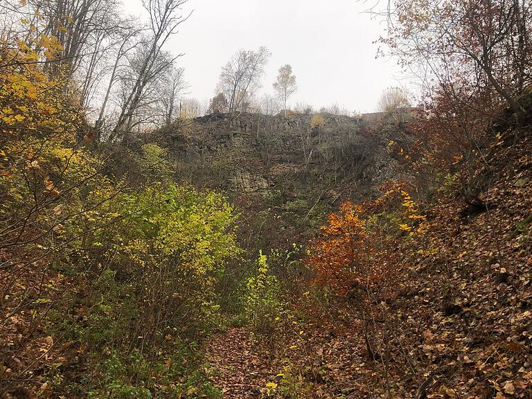 Der Steinbruch bei Bramberg: Abbrucharbeiten bedrohten einst die Burgruine, deren Absturz drohte. Heute hat sich die Natur das Terrain zurückerobert.
