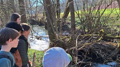 Malte, Rami, Tymur und Alyssa bestaunen die Biberburg am Nudelbach. - Malte, Rami, Tymur und Alyssa bestaunen die Biberburg am Nudelbach. Malte, Rami, Tymur und Alyssa bestaunen die Biberburg am Nudelbach. - Malte, Rami, Tymur und Alyssa bestaunen die Biberburg am Nudelbach.