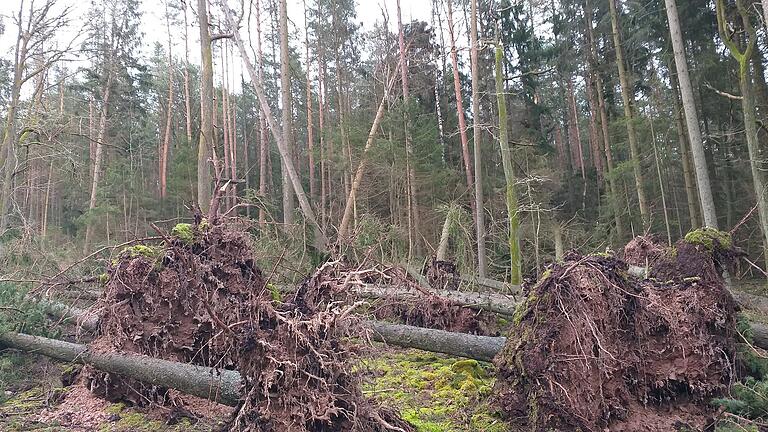 Im Wald von Willmars gab es im Februar massive Sturmschäden, die jetzt noch aufgearbeitet werden müssen. Im Wald von Willmars gab es im Februar massive Sturmschäden, die jetzt noch aufgearbeitet werden müssen.