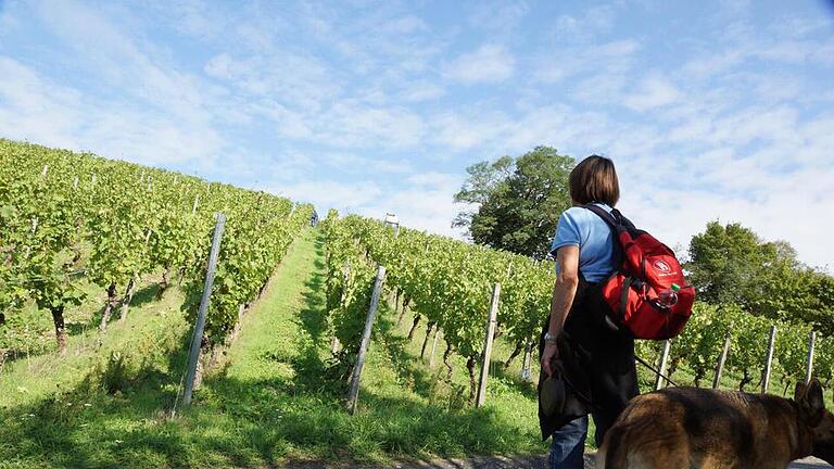 'Frankens Saalestück' punktet mit seiner Weinbergslandschaft.Foto: Arkadius Guzy - 'Frankens Saalestück' punktet mit seiner Weinbergslandschaft.Foto: Arkadius Guzy 'Frankens Saalestück' punktet mit seiner Weinbergslandschaft.Foto: Arkadius Guzy - 'Frankens Saalestück' punktet mit seiner Weinbergslandschaft.Foto: Arkadius Guzy