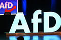 Europa-Wahlkampfauftakt der AfD.jpeg       -  Die AfD geht mit einer ganzen Reihe an Skandalen in den Wahlkampf für die Europawahl.