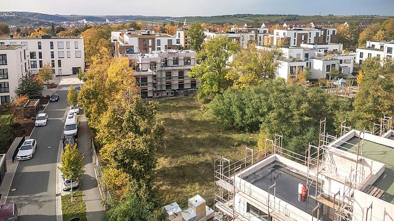 Ansicht auf die Freifläche an der Franz-Brentano-Straße am Hubland in Würzburg. Hier soll ein inklusiver Spielplatz entstehen. Um den gibt es jetzt Streit.