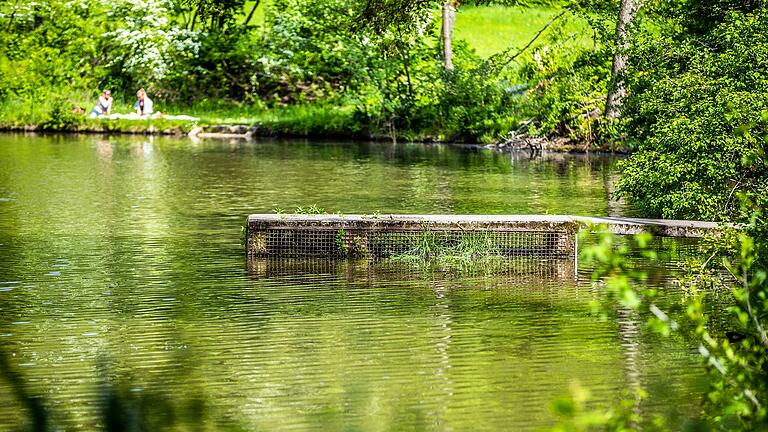 Der Seidenhäuser See gilt als Geheim-Tipp in der Region. Der Badesee befindet sich in der Nähe von Altershausen. Der Seidenhäuser See gilt als Geheim-Tipp in der Region. Der Badesee befindet sich in der Nähe von Altershausen.
