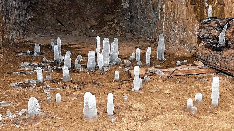 Im Felsenkeller wachsen Eiszapfen in die Höhe       -  (mae)   Der Felsenkeller in Wittighausen ist für manche Überraschung gut. Derzeit kann man seltsame Eisgebilde am Boden sehen. Stalagmiten aus Eis haben sich bei den kalten Temperaturen der letzten Wochen gebildet. Anders als ihre Verwandten, die Stalaktiten, die von der Decke herunterhängen, wachsen die Stalagmiten vom Boden in die Höhe. Kleine Wassertropfen, die von der Decke heruntertropfen sorgen dafür, dass diese Gebilde entstehen können. Sie sind allerdings sehr vergänglich. Steigen die Temperaturen wieder, schmelzen die Eis-Stalagmiten und werden wieder zu Wasser. Wie gut das Mikroklima im Felsenkeller ist, beweist ihre Beständigkeit. Unsere Vorfahren wussten bei der Anlage des Kellers also genau, wo sie graben mussten, um eine dauerhafte Lagerstätte für das Bacheis, das früher hier eingelagert wurde, zu bauen. Der Felsenkeller befindet sich im Gebiet Quellwiesen am Ortseingang von Zimmern kommend. Durch die individuell gestaltete Eingangstüre kann man die vergänglichen Zapfen sicher noch einige Tage bewundern. Foto: Matthias Ernst