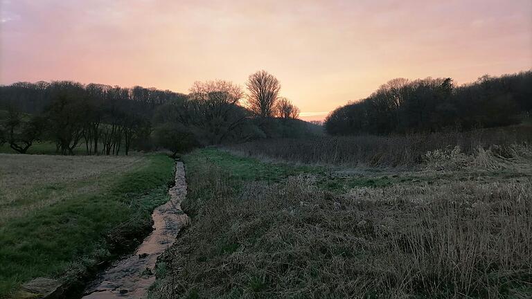 Der Wertheimer Biotopverbund nützt auch der Neubrunner Natur, denn an den Gemeindegrenzen befinden sich mannigfaltige Biotope.