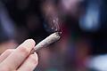 Cannabis-Joint       -  Eine Frau hält einen Joint in der Hand: Cannabis wird von der Liste der verbotenen Substanzen gestrichen.