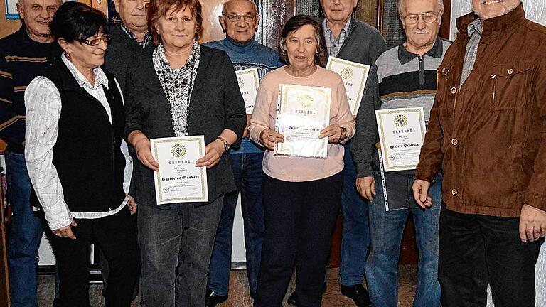 Die Eigenheimer in Traustadt ehrten langjährige Mitglieder (von links): Erich Wilhelm (40 Jahre), Vorsitzende Gertrud Haupt, Manfred Schaller (40), Christine Markert (40), Ewald Hauck (25), Luzia Thierstein (40), Hans Schmitt (40), Walter Peterlik (40) und Heinz Amling aus dem Landesvorstand. Die Eigenheimer in Traustadt ehrten langjährige Mitglieder (von links): Erich Wilhelm (40 Jahre), Vorsitzende Gertrud Haupt, Manfred Schaller (40), Christine Markert (40), Ewald Hauck (25), Luzia Thierstein (40), Hans Schmitt (40), Walter Peterlik (40) und Heinz Amling aus dem Landesvorstand.