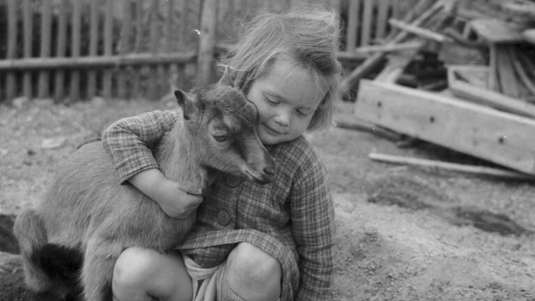 Mädchen mit Ziegenkitz, vermutlich 1950er-Jahre: Die Ziege, lange in Verruf geraten, ist in der Rhön heute wieder als Landschaftspflegerin im Einsatz. Mädchen mit Ziegenkitz, vermutlich 1950er-Jahre: Die Ziege, lange in Verruf geraten, ist in der Rhön heute wieder als Landschaftspflegerin im Einsatz.
