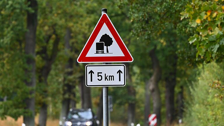Allee im Reinhardswald       -  Für die Verkehrssicherheit müssen Alleen regelmäßig kontrolliert werden.