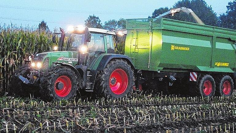 Maisernte bei Dämmerung: Die kühlen Stunden des Tages müssen die Landwirte bei der Maisernte nutzen, da sich zu heiße und trockene Maiskolben schlecht silieren lassen. Maisernte bei Dämmerung: Die kühlen Stunden des Tages müssen die Landwirte bei der Maisernte nutzen, da sich zu heiße und trockene Maiskolben schlecht silieren lassen.